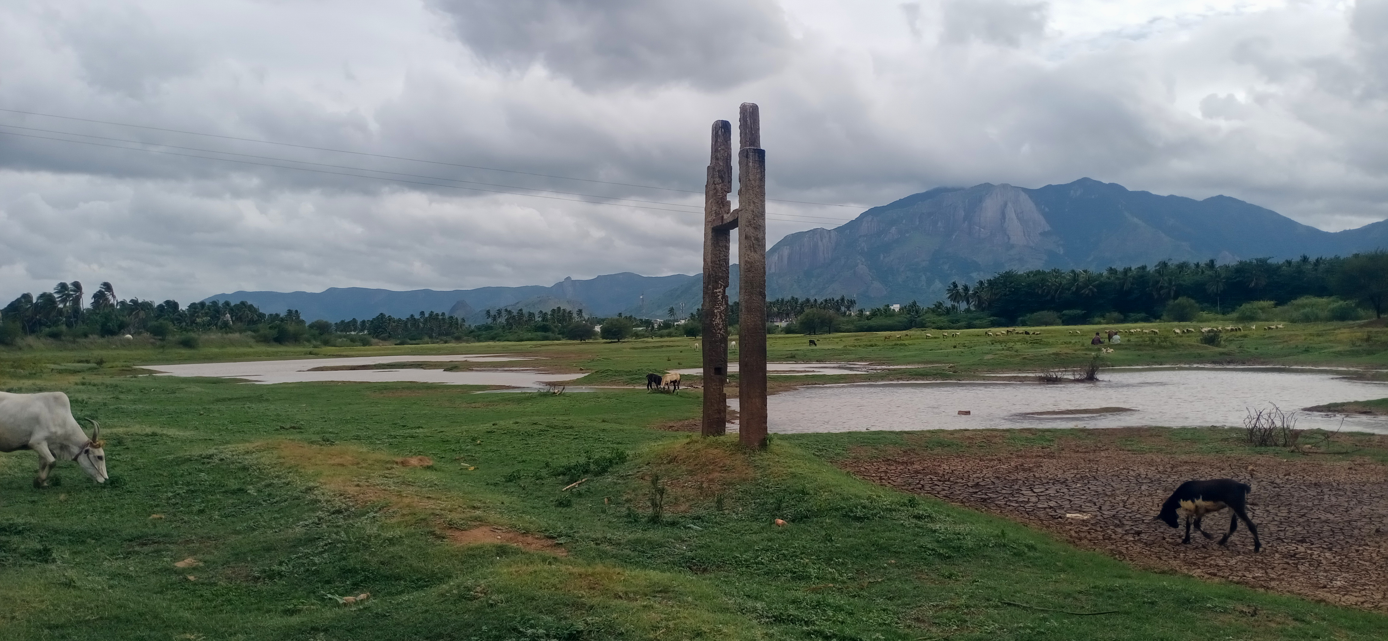 சின்னதேவி குளம்