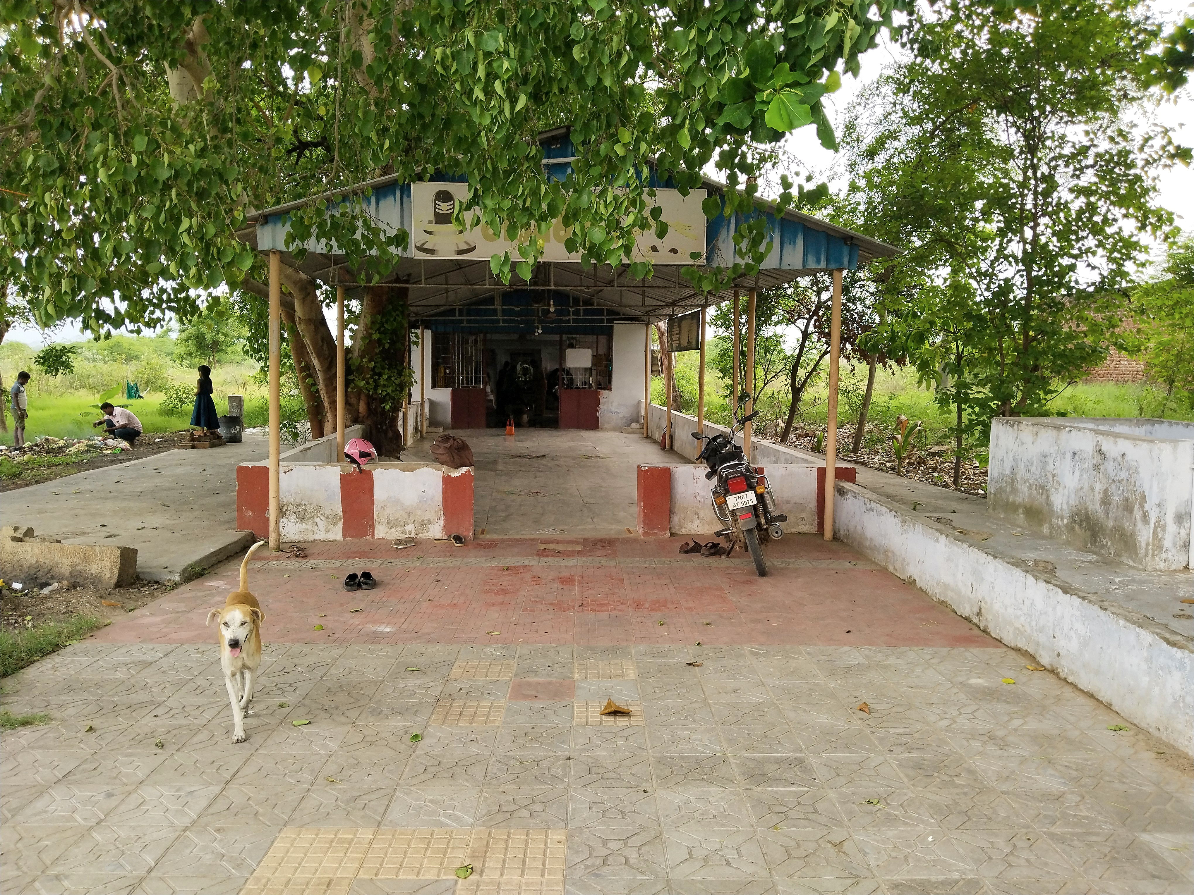 பறவை அன்னம் காத்தார் கோயில்